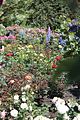 147 - Butchard Gardens  - IMG_1694
